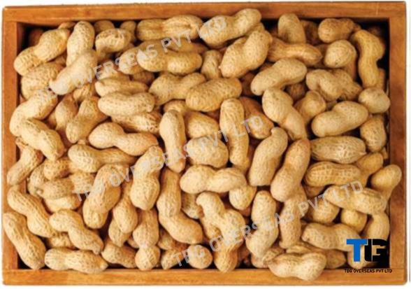 Premium Quality Peanuts: Bulk Supply, Fresh &amp; Nutritious, Competitive Prices; Peanuts with Shell; Shelled Ground Nuts;-12601254