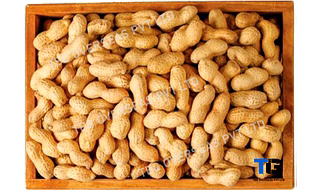 Premium Quality Peanuts: Bulk Supply, Fresh & Nutritious, Competitive Prices; Peanuts with Shell; Shelled Ground Nuts;