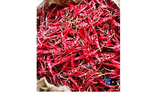 Authentic Red Dry Chilli Pepper S17 Teja Chilli; Superior Quality; Whole; With Stem; Without Stem;Bulk Supply; Best Prices;