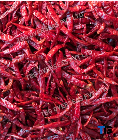 Whole S 12 Sannam Chillies; Superior Quality, Bulk Supply, Best Prices; With Stem; Without Stem;-12601398