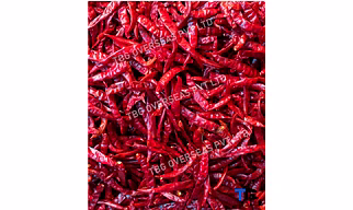 Whole S 12 Sannam Chillies; Superior Quality, Bulk Supply, Best Prices; With Stem; Without Stem;