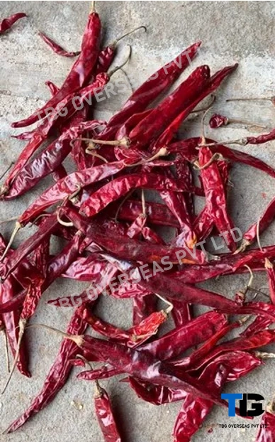 Whole S 14 Teja Chillies; Superior Quality, Bulk Supply, Best Prices; With Stem; Without Stem;-12601428