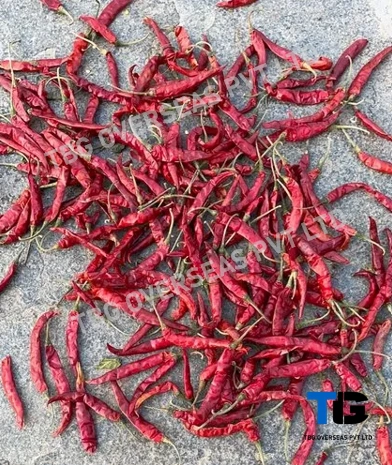 Whole S 14 Teja Chillies; Superior Quality, Bulk Supply, Best Prices; With Stem; Without Stem;-1