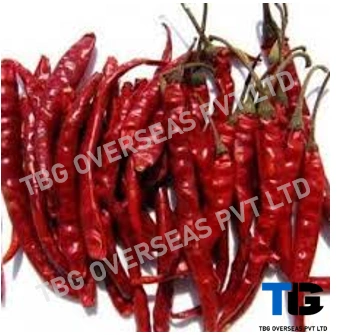 Whole S 14 Teja Chillies; Superior Quality, Bulk Supply, Best Prices; With Stem; Without Stem;-2