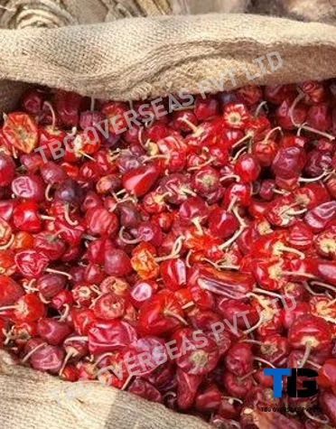 Whole S 9 Mundu Chillies; Superior Quality, Bulk Supply, Best Prices; With Stem; Without Stem;-12601468