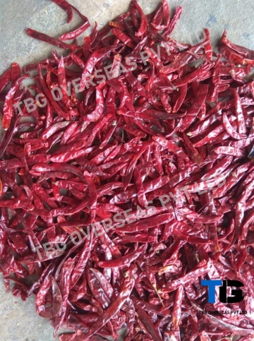 Authentic Wonder Hot Chillies Whole: Superior Quality, Bulk Supply, Best Prices; With/ Without Stem-12601490