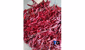 Authentic Wonder Hot Chillies Whole: Superior Quality, Bulk Supply, Best Prices; With/ Without Stem
