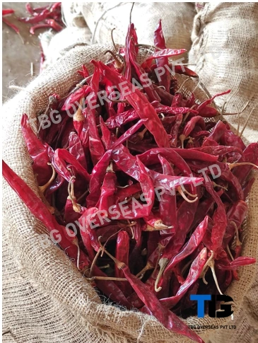 Authentic Wonder Hot Chillies Whole: Superior Quality, Bulk Supply, Best Prices; With/ Without Stem-1