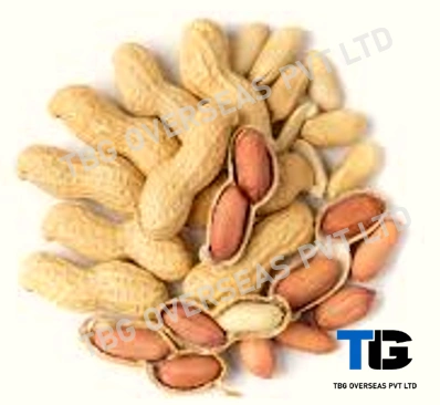 Premium Quality Peanuts: Bulk Supply, Fresh &amp; Nutritious, Competitive Prices; Peanuts with Shell; Shelled Ground Nuts;-1