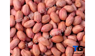 Premium Quality Peanuts: Bulk Supply, Fresh & Nutritious, Competitive Prices; Bold Peanut Seeds; Ground Nuts;