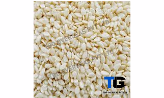 Natural White Sesame Seeds; Til; "Sesamum indicum"; Best Quality; Competitive price; Hulled; Sun-dried;