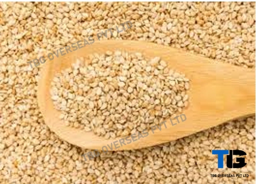 Whitish Sesame Seeds; Til;&quot;Sesamum indicum&quot;; Machine Clean; Best Quality; Competitive price; Yellow; Golden; Roasted; Brown; Hulled;-12605632