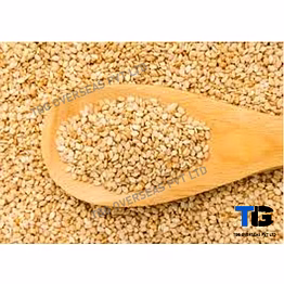 whitish sesame seeds; til;"sesamum indicum"; machine clean; best quality; competitive price; yellow; golden; roasted; brown; hulled;