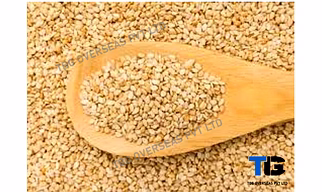 Whitish Sesame Seeds; Til;"Sesamum indicum"; Machine Clean; Best Quality; Competitive price; Yellow; Golden; Roasted; Brown; Hulled;