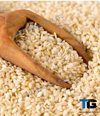 Whitish Sesame Seeds; Til;&quot;Sesamum indicum&quot;; Machine Clean; Best Quality; Competitive price; Yellow; Golden; Roasted; Brown; Hulled;-1