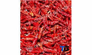 Authentic S 273 Red Chillies Whole: Superior Quality, Bulk Supply, Best Prices; With or without Stem
