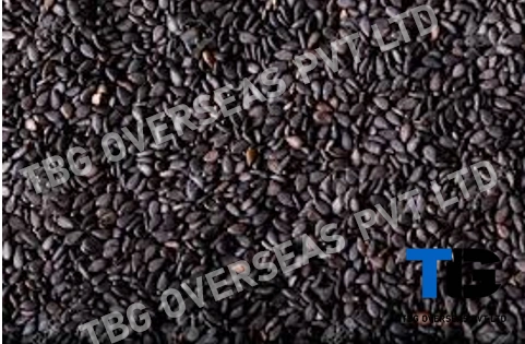 Jet-Black Sesame Seeds; Kala Til;&quot;Sesamum indicum&quot;; Machine Clean; Best Quality; Competitive price; Brown; Hulled; Roasted;-12605648