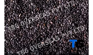Jet-Black Sesame Seeds; Kala Til;"Sesamum indicum"; Machine Clean; Best Quality; Competitive price; Brown; Hulled; Roasted;