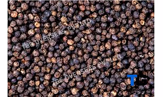 Premium Black Pepper, Kali Mirch: Bold Flavor, Whole & Ground | Freshly Sourced Spice