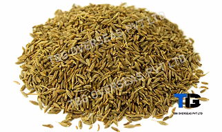 Top-Grade Cumin Seeds, Jeera: Whole & Ground | Rich Flavor, Freshly Sourced