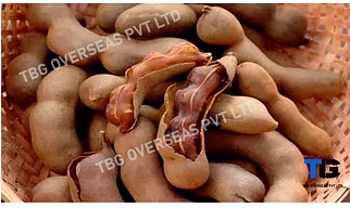 Natural Tamarind (Imli): Seedless & Pulp | Tangy, High-Quality, and Fresh; Tetul;