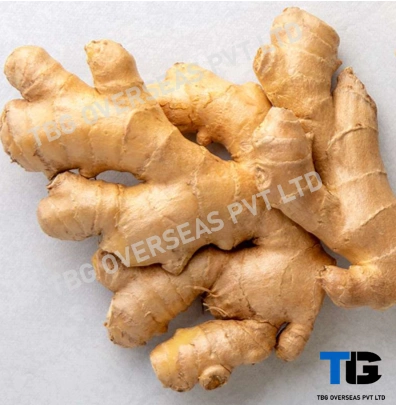 Fresh Ginger (Adrak): Whole &amp; Powdered | Spicy, Aromatic, and Premium Quality-12607226