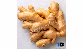 Fresh Ginger (Adrak): Whole & Powdered | Spicy, Aromatic, and Premium Quality