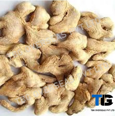 Fresh Ginger (Adrak): Whole &amp; Powdered | Spicy, Aromatic, and Premium Quality-1