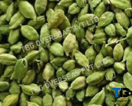 Premium Bulk Cardamom Pods – Fresh, Organic, High-Quality Spices | Top Grade Cardamom Seeds| Buy in Wholesale at Competitive Prices; Elaichi;-12607696