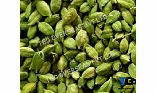 Premium Bulk Cardamom Pods – Fresh, Organic, High-Quality Spices | Top Grade Cardamom Seeds| Buy in Wholesale at Competitive Prices; Elaichi;