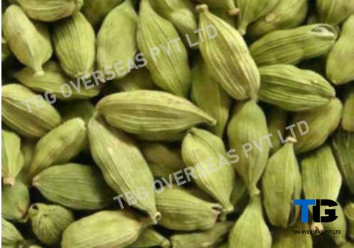 Premium Bulk Cardamom Pods – Fresh, Organic, High-Quality Spices | Top Grade Cardamom Seeds| Buy in Wholesale at Competitive Prices; Elaichi;-1