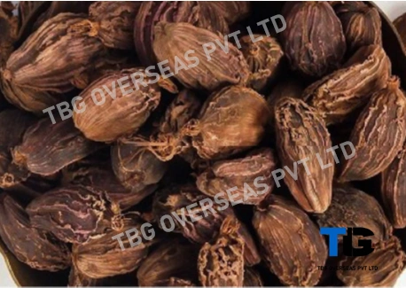 Premium Bulk Cardamom Pods – Fresh, Organic, High-Quality Spices | Top Grade Cardamom Seeds| Buy in Wholesale at Competitive Prices; Elaichi;-2