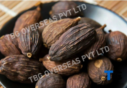 Premium Bulk Cardamom Pods – Fresh, Organic, High-Quality Spices | Top Grade Cardamom Seeds| Buy in Wholesale at Competitive Prices; Elaichi;-3