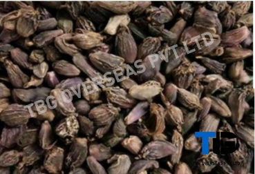 Premium Bulk Cardamom Pods – Fresh, Organic, High-Quality Spices | Top Grade Cardamom Seeds| Buy in Wholesale at Competitive Prices; Elaichi;-4