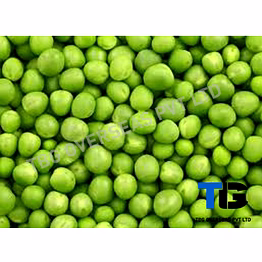 bulk green peas (hare matar) - fresh green peas, premium green peas for wholesale, frozen peas, cooking ingredients