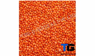 Wholesale Red Lentils (Masoor Dal) - Premium Red Lentils, Split Red Lentils, Bulk Lentils for Cooking, Food Industry Supply, Lentil Pulses