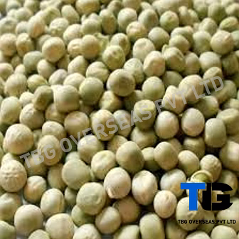 dried green peas (matar) in bulk - high-quality dried green peas, green pea lentils, wholesale food ingredients, bulk dried legumes