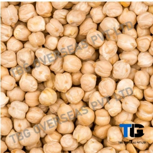 Wholesale Chickpeas (Kabuli Chana) - Premium Dried Chickpeas, Garbanzo Beans, Kabuli chana, Bulk Purchase, Pulses for Cooking and Food Processing-12613206