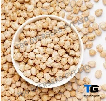 Wholesale Chickpeas (Kabuli Chana) - Premium Dried Chickpeas, Garbanzo Beans, Kabuli chana, Bulk Purchase, Pulses for Cooking and Food Processing-1