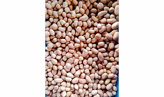 PEANUT