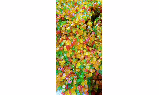 TUTTI - FRUTTI