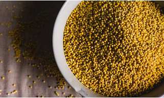 Millet