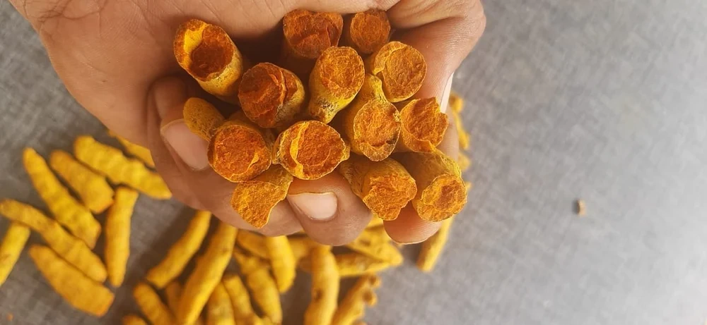 Turmeric Powder-2