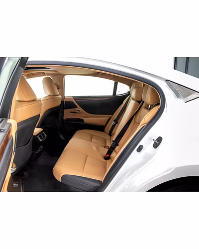 Rent Lexus ES 300h-3