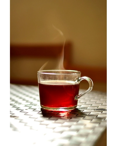 Winstar Meghalaya Tea – Premium Blend from India’s Northeast Highlands-1