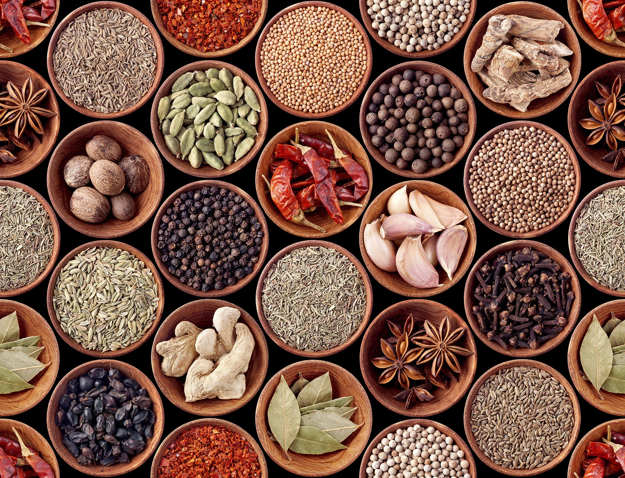 SPICES OF INDIA-4