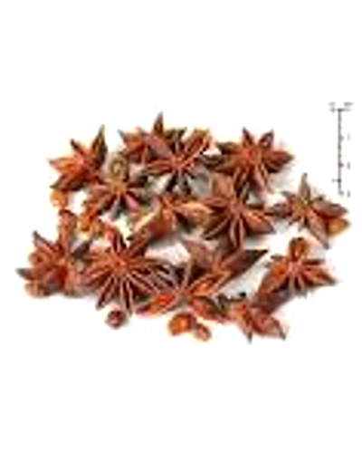 Winstar Spices of India – Premium Indian Spice Collection-5