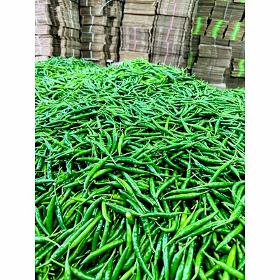 winstar green chilly – fresh, spicy, and flavorful chilies summary: