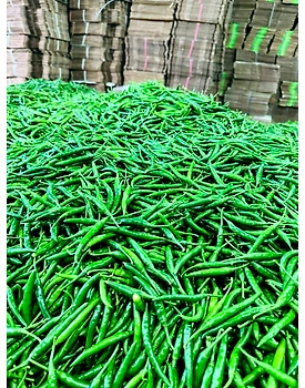 Winstar Green Chilly – Fresh, Spicy, and Flavorful Chilies Summary: