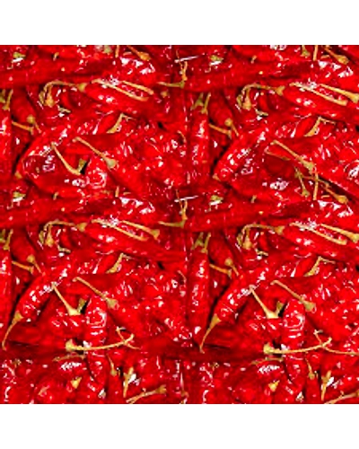 Winstar Spices of India – Premium Indian Spice Collection-10